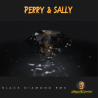 PERRY & SALLY - BLACK DIAMOND RMX