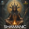 K-BERT - SHAMANIC