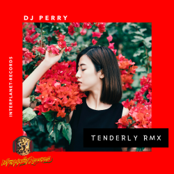 PERRY & SALLY - TENDERLY RMX